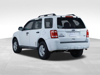 2010 Ford Escape XLT