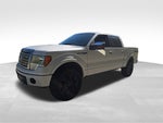 2010 Ford F-150 Platinum
