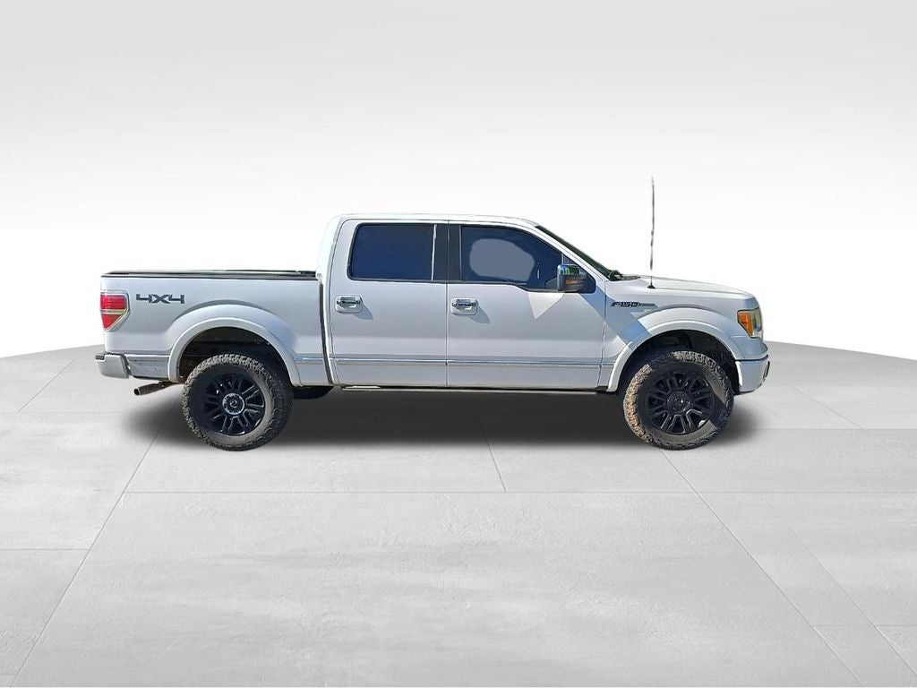2010 Ford F-150 Platinum
